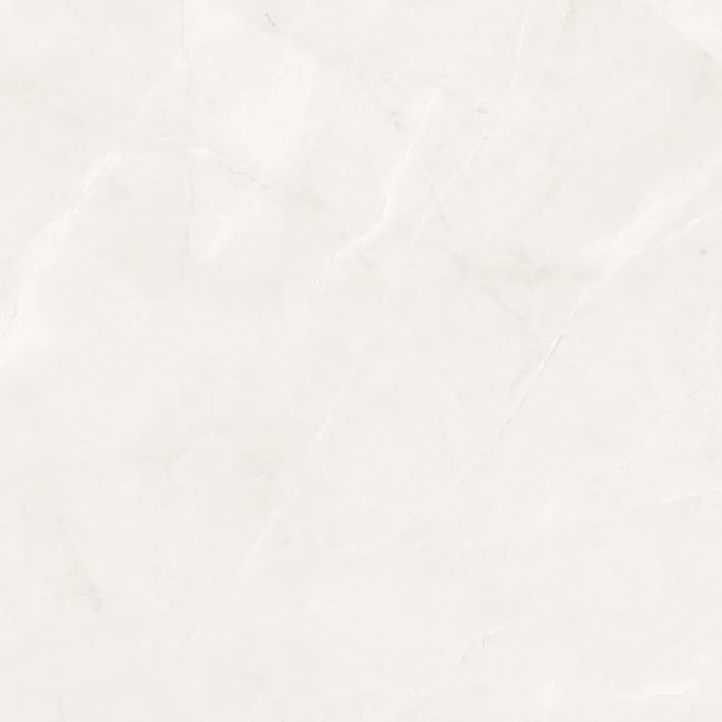 2623323-Image-1