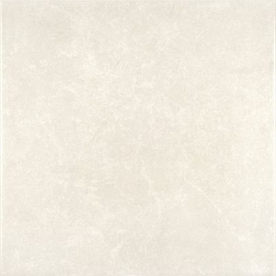 7892226556477-1