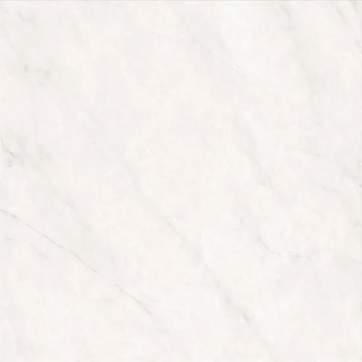 2620561-Image-1