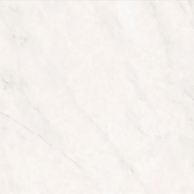 2620561-Image-1