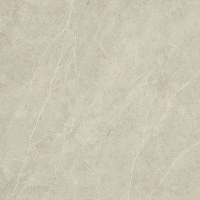 2620979-Image-1
