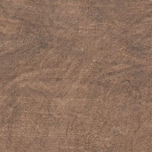 2620936-Image-1