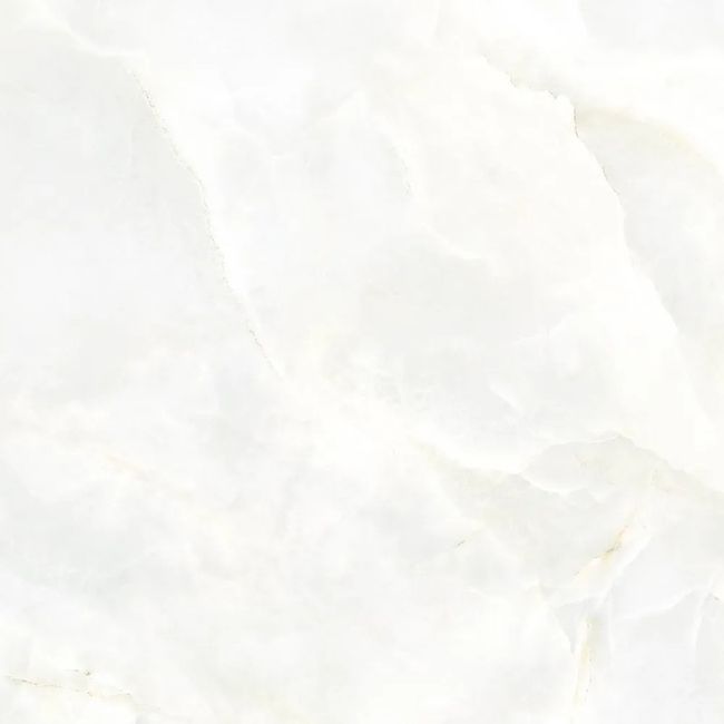 2620812-Image-1