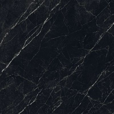 2619962-Image-1