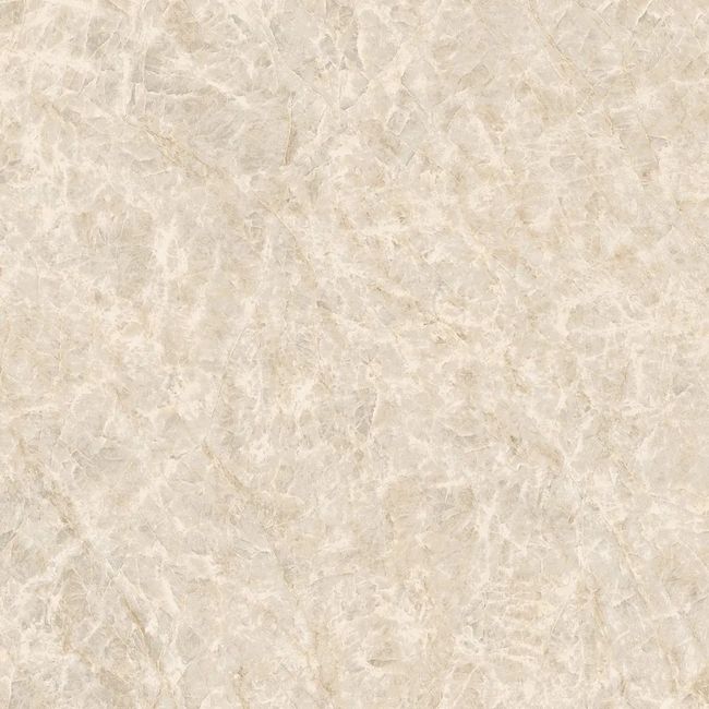 2619970-Image-1