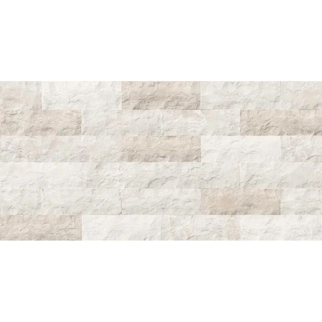 2620006-Image-1