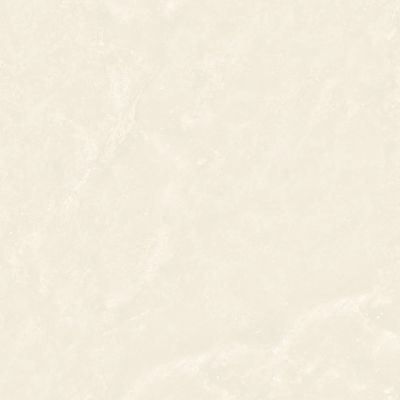 2600900-Image-1
