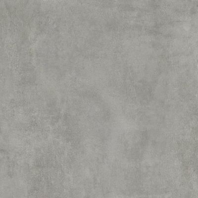 2599805-Image-1
