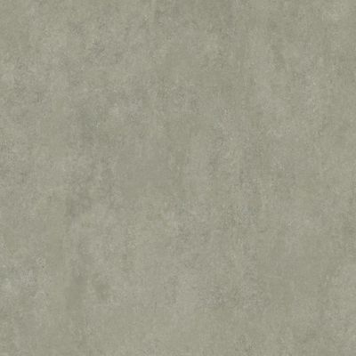 2600838-Image-1
