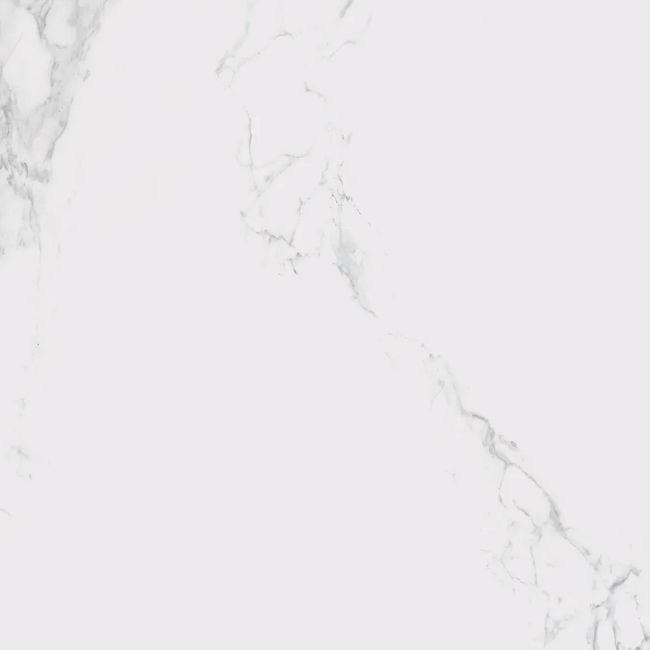 2567229-Image-1