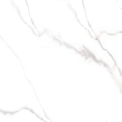 2560496-Image-1
