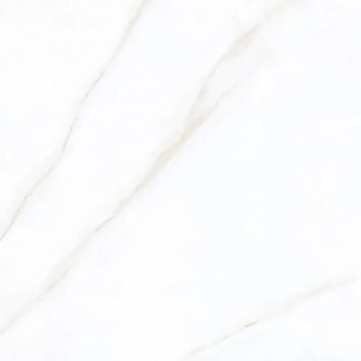 2552663-Image-1
