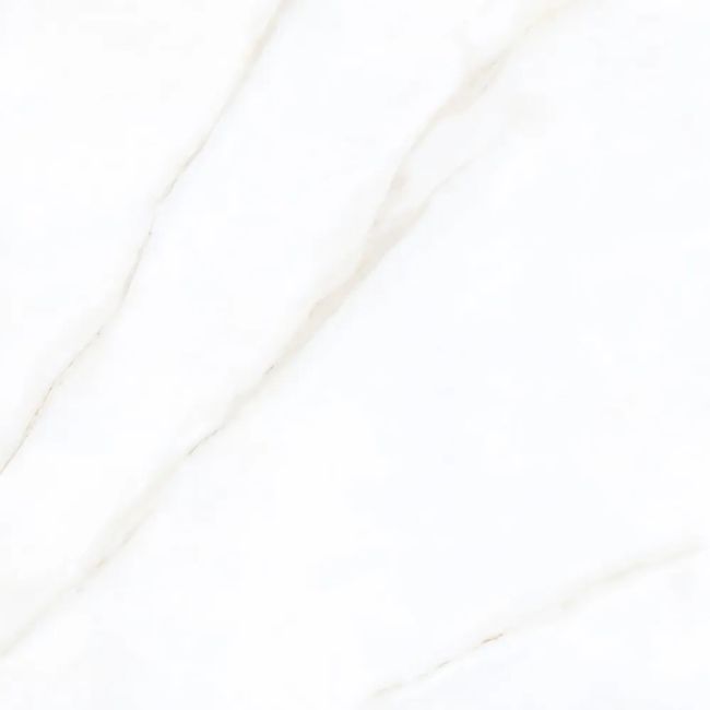 2552663-Image-1