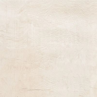 2540509-Image-1