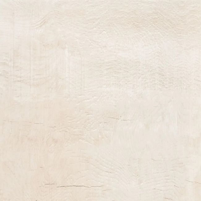2540509-Image-1