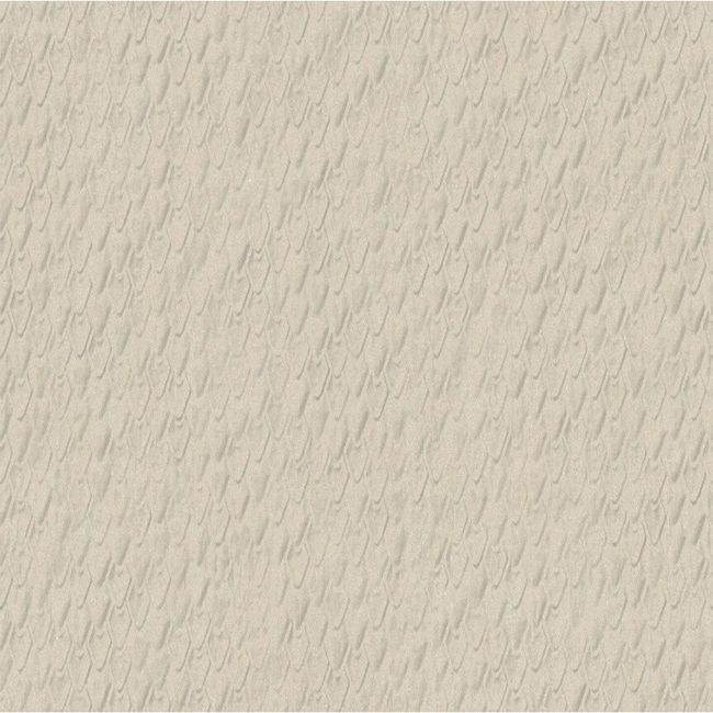 2539780-Image-1