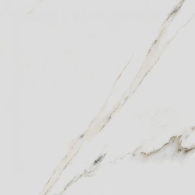 2547465-Image-1