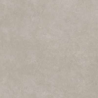 2539004-Image-1