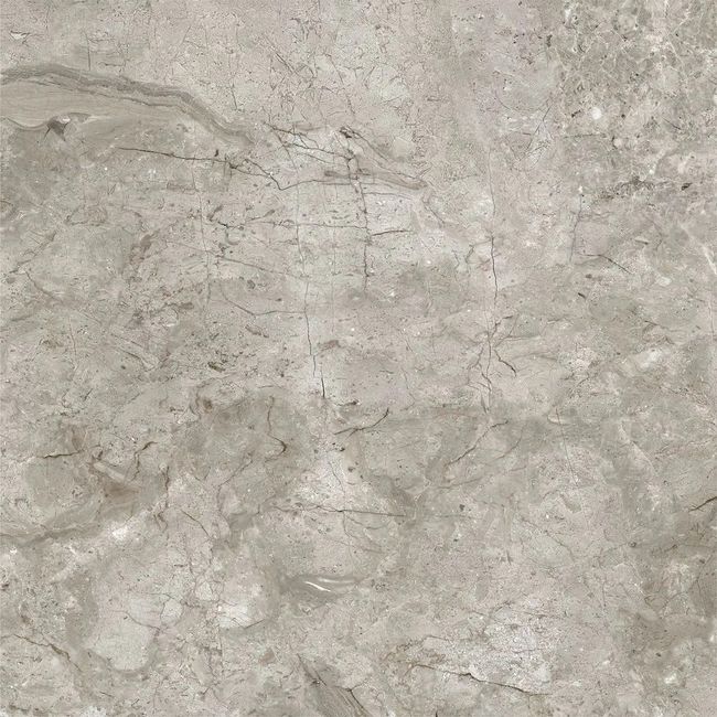 2545950-Image-1