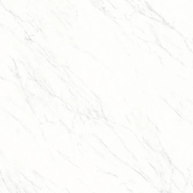 2527278-Image-1