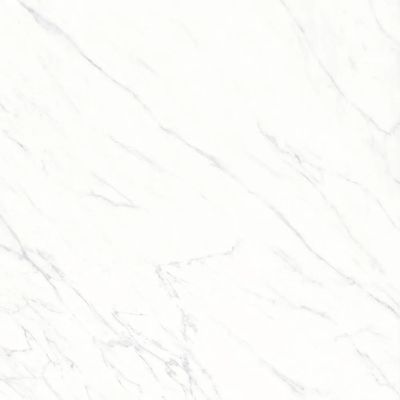 2527294-Image-1