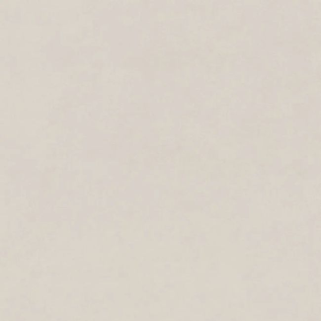 2524368-Image-1