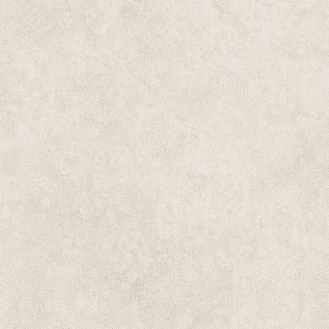2521113-Image-1