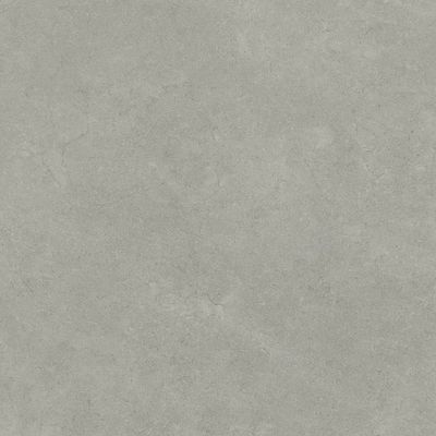 2519666-Image-1