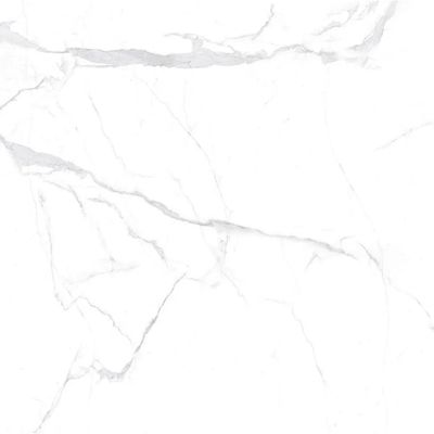 2484404-Image-1