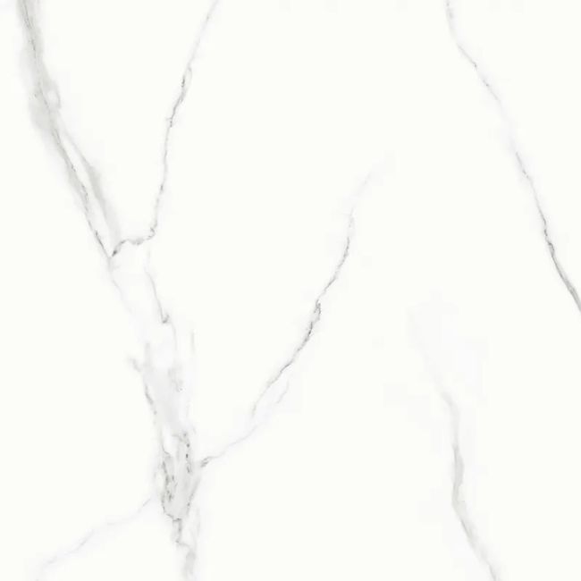 2470500-Image-1