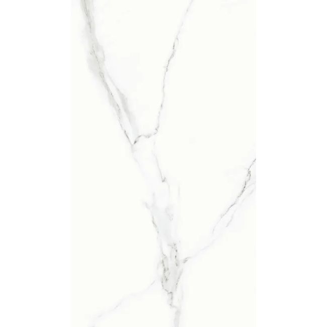 2470519-Image-1