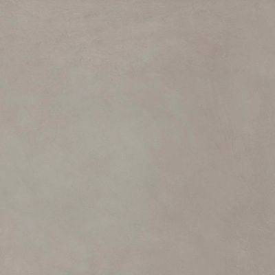 2452723-Image-1