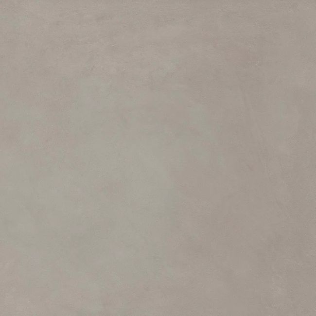 2452723-Image-1