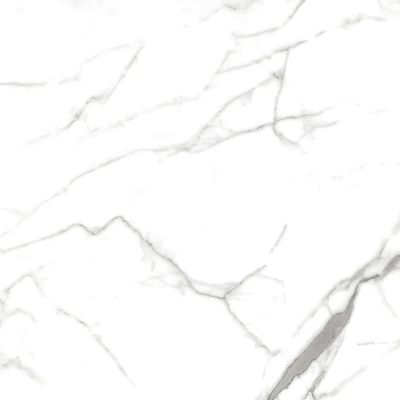 2452812-Image-1