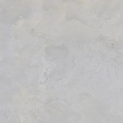 2452804-Image-1