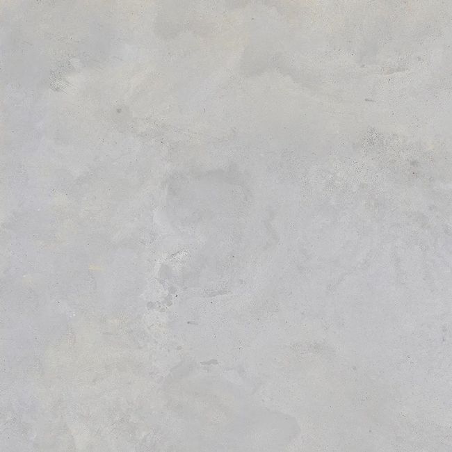 2452804-Image-1
