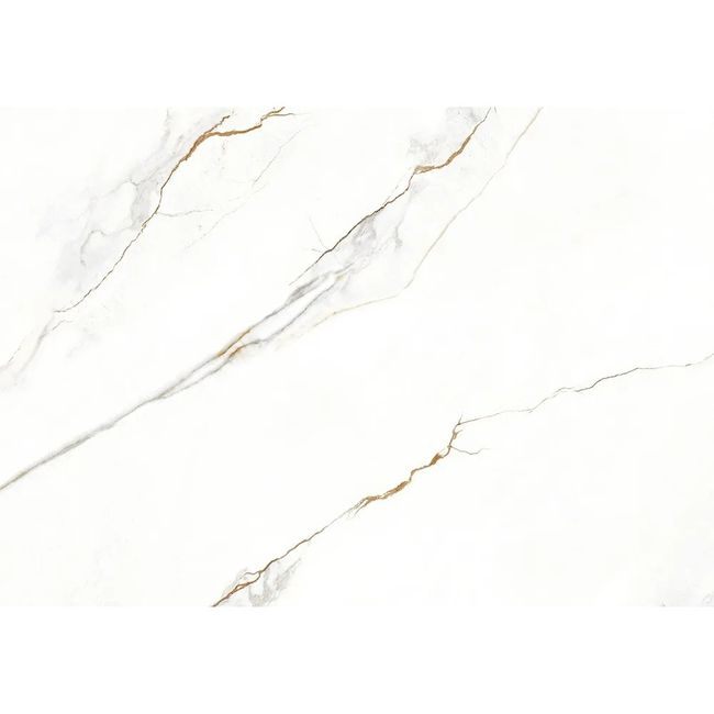 2452740-Image-1