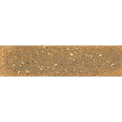 2465868-Image-1