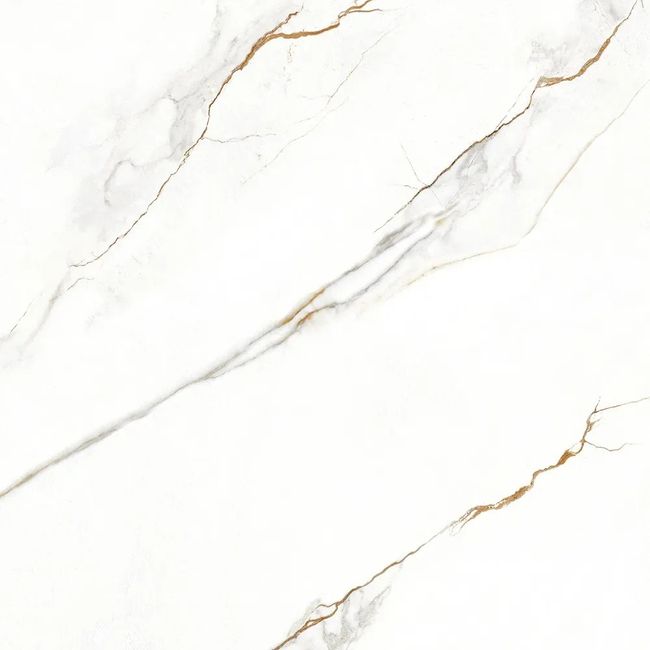 2452731-Image-1