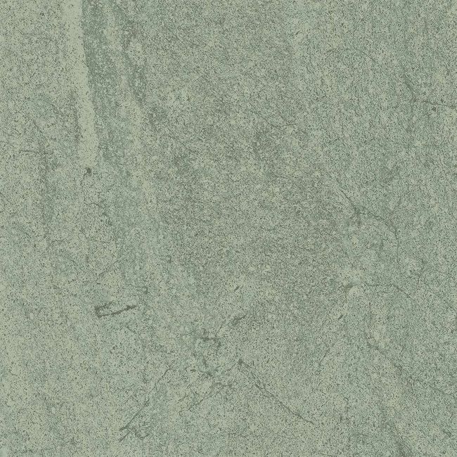 2450631-Image-1