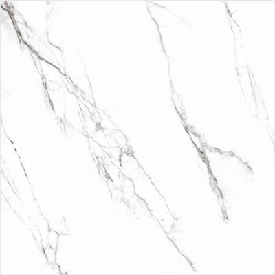 2451760-Image-1