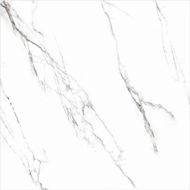 2451760-Image-1