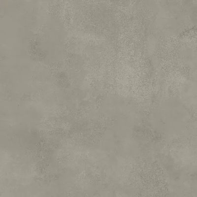 2448866-Image-1