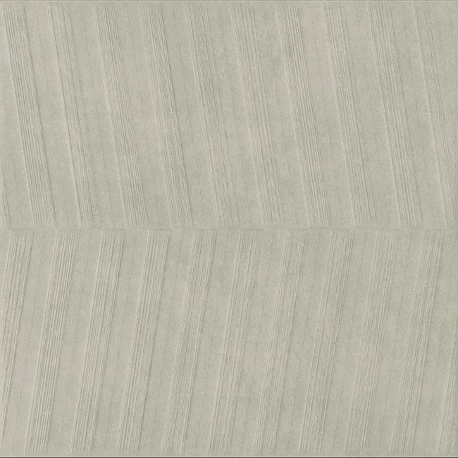 2442973-Image-1
