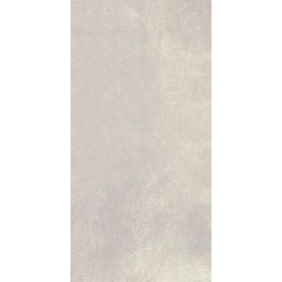 2446812-Image-1