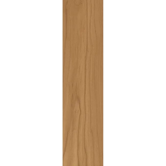 2448670-Image-1