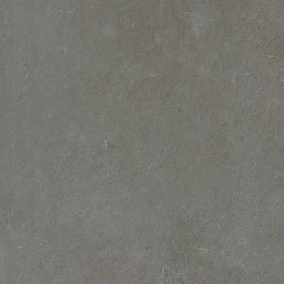 2452944-Image-1