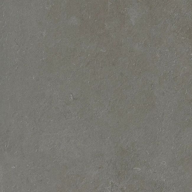 2452944-Image-1