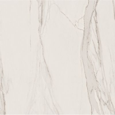 2443309-Image-1