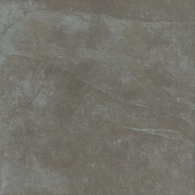 2441748-Image-1